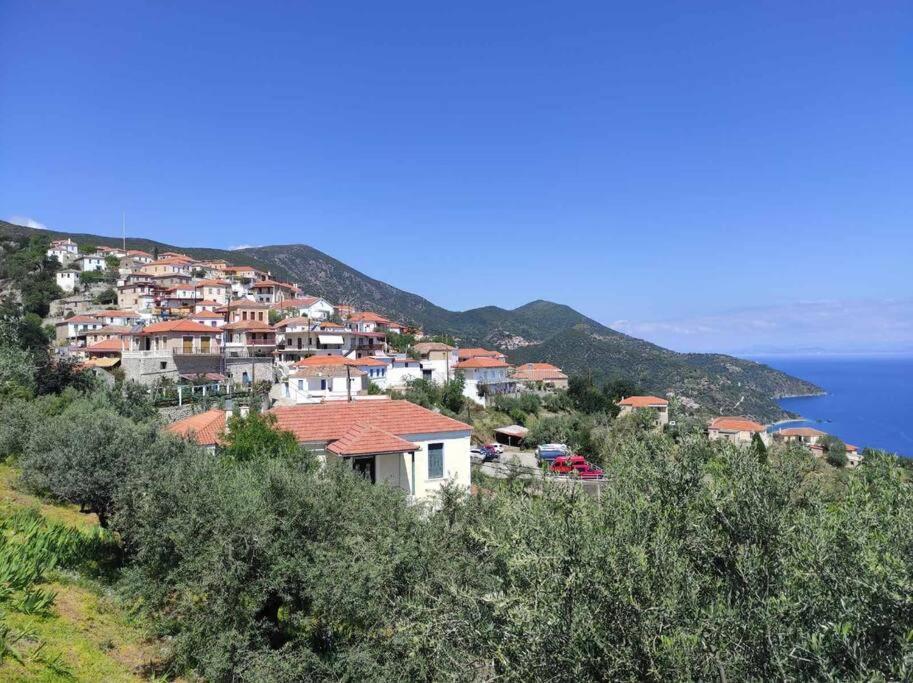 Κατοικία Πανόραμα, Πραγματευτή Λεωνιδίου, Τ.Κ.22300 Леонидион Экстерьер фото