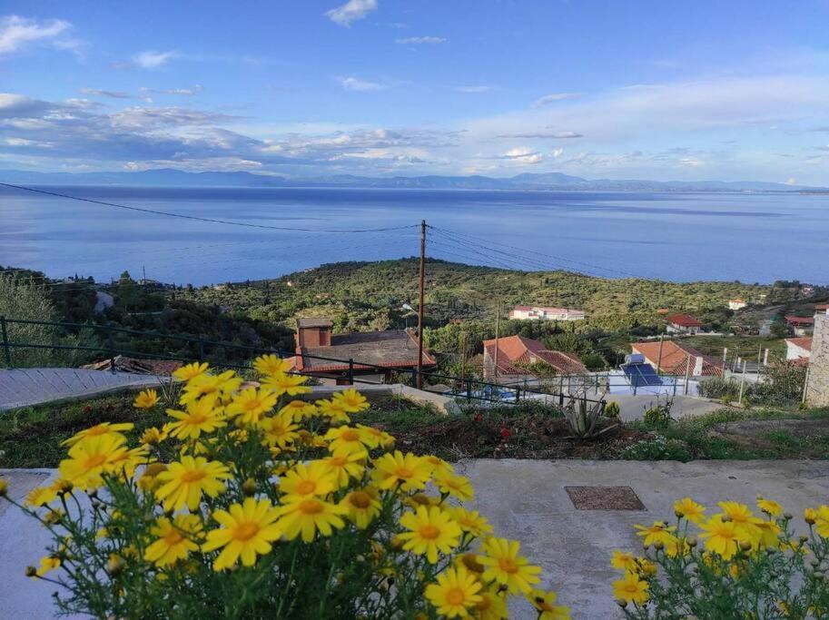 Κατοικία Πανόραμα, Πραγματευτή Λεωνιδίου, Τ.Κ.22300 Леонидион Экстерьер фото