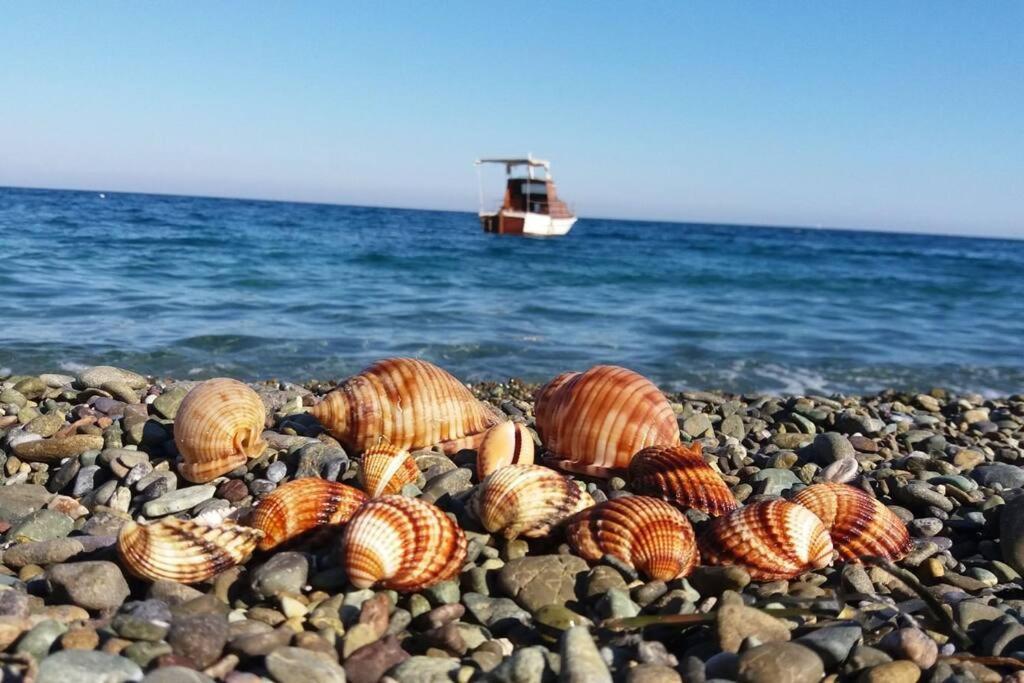 Κατοικία Πανόραμα, Πραγματευτή Λεωνιδίου, Τ.Κ.22300 Леонидион Экстерьер фото