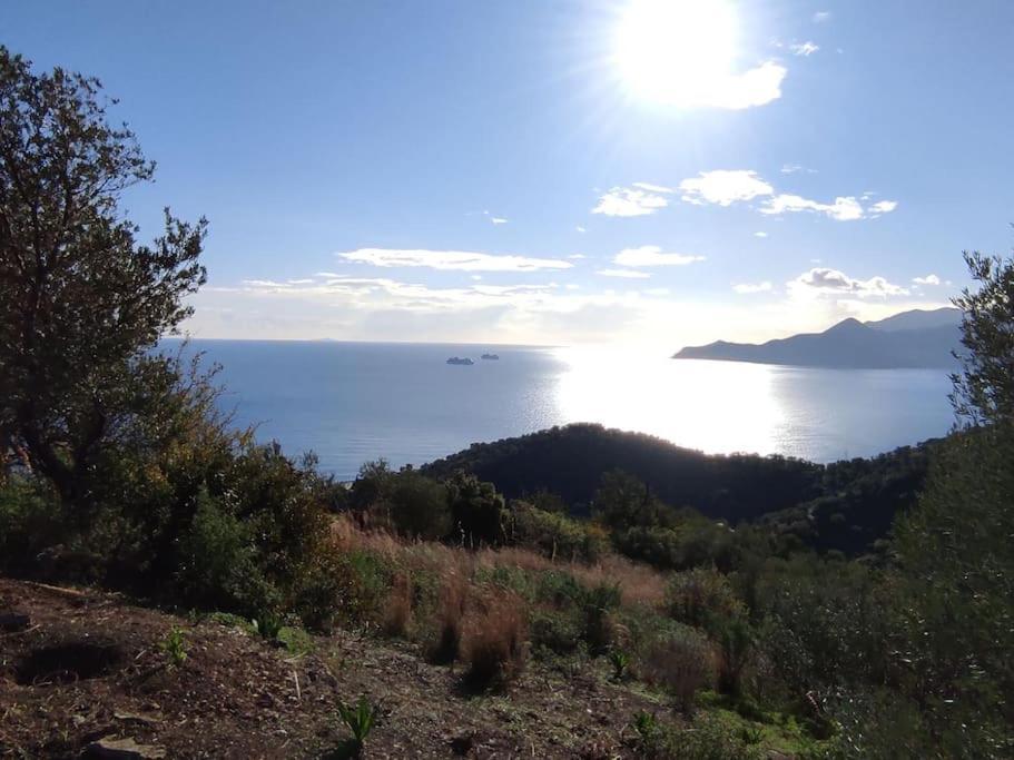 Κατοικία Πανόραμα, Πραγματευτή Λεωνιδίου, Τ.Κ.22300 Леонидион Экстерьер фото